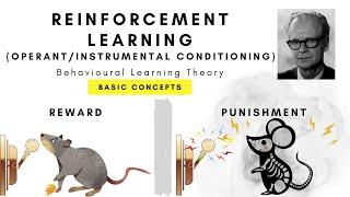 What is Operant Conditioning Reinforcement Learning [upl. by Ytak]