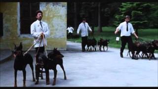 Dobermans in movie  3  Доберманы в кино [upl. by Ssidnac43]