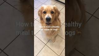 Healthy meal topper for dogs cutedogs Recipe for dog food meal topper dogfeeding dogdish ❤️🤩❤️ [upl. by Anaahs]