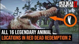 ALL 16 Legendary Animal Locations in Red Dead Redemption 2 [upl. by Thistle]