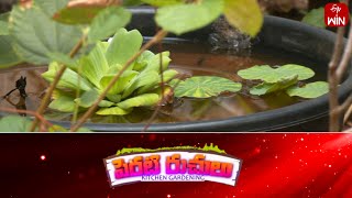 Perati Ruchulu  13th July 2024  Full Episode  ETV Abhiruchi [upl. by Roybn]