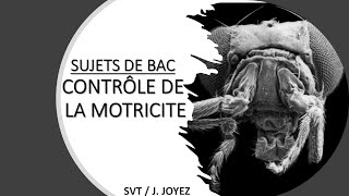 SUJETS BAC MOTRICITÉ 1 [upl. by Llirpa]