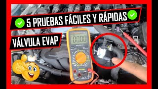 🔥 Como PROBAR La VÁLVULA De PURGA Del CANISTER 🔥Hazle Estas 5 Pruebas Fáciles y Efectivas ✅️ [upl. by Ennaira]