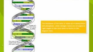 Bio molecules [upl. by Shuma]