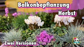 Balkonbepflanzung Herbst 🍂 zwei Ideen für eine Herbstliche Balkonbepflanzung [upl. by Kawai515]