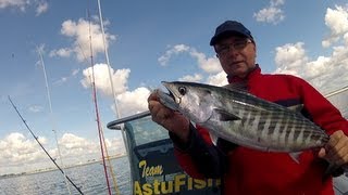 La pêche sportive de la bonite en Bretagne AstuFish [upl. by Eegnat596]