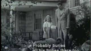 LASSIES GREAT ADVENTURE 1963  Full Movie  Captioned [upl. by Ihdin]