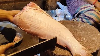 Amazing Big Hamour Fish Cutting Skills In Fish Market  Fish Cutting By Expert Cutter [upl. by Joy]