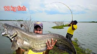 Big Wallago Pathan Fishing  Big Catfish MOSTAR fish  Spoon Fishing Techniques  Fishing Videos [upl. by Morrie280]