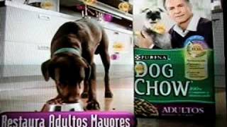 Publicidad de Dog Chow realizado con las mascotas del Criadero Maclooes [upl. by Einnaej]