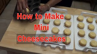 How to make Mini Cheesecakes [upl. by Karlee]