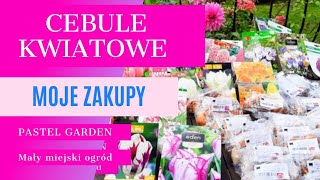 Tulipany Krokusy Hiacynty Czosnki Jakie cebule kwiatowe kupiłam Piękne odmiany do ogrodu [upl. by Poirer]