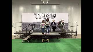 Gaines County Livestock Show Sale 2021 [upl. by Anurag360]