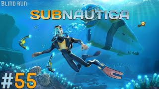 Subnautica  Blind run 55  Torniamo alla Degasi 250 [upl. by Andi]