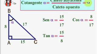 RAZONES TRIGONOMÉTRICAS DE UN ÁNGULO AGUDO [upl. by Ettenowtna826]