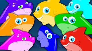 Learn Colors  Shark Colors Song  Learning Videos For Children  Cartoons For Babies by Kids Tv [upl. by Lalaj]