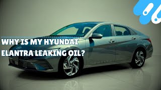 Why is My Hyundai Elantra Leaking Oil [upl. by Fiedler640]