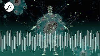 Unterstützung bei Verletzungen  Frakturen und Verrenkungen  Frequenzmedizin [upl. by Zacarias]