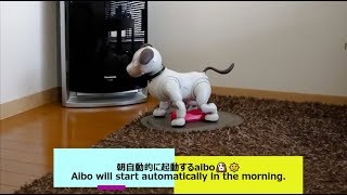 朝自動的に起動するaibo🐶🌞  Aibo will start automatically in the morning 【アイボ】 [upl. by Dlanor]