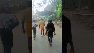 പൂങ്കാവനം sabarimalaayyapan malikappuram sabarimalai shorts [upl. by Aromat]