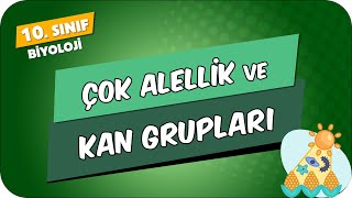 Çok Alellik ve Kan Grupları  10Sınıf Biyoloji 2024 [upl. by Akapol16]