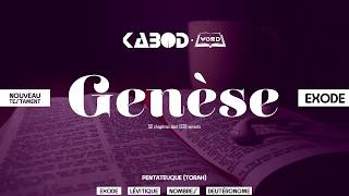 « Genèse »  LAncien Testament  La Sainte Bible audio VF Complète [upl. by Sivahc223]