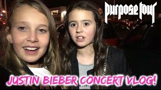 NAAR HET CONCERT VAN JUSTIN BIEBER PURPOSE WORLD TOUR VLOG [upl. by Aillicec635]