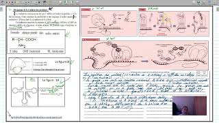 la synthese des proteines [upl. by Attenol676]