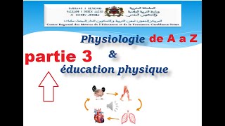 physiologie en EPS de A a Z  régimes de contraction musculaire nomination des muscles partie 3 [upl. by Ileray334]