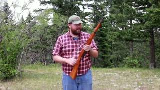 M9534 Steyr Shooting Loading and Review [upl. by Hillegass267]