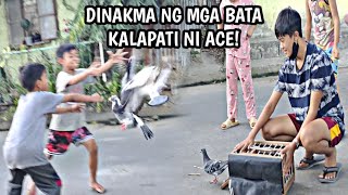 DINAKMA NG MGA BATA KALAPATI NI ACE [upl. by Libbna]