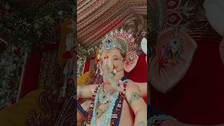 सिन्धी समाज खण्डवाshorts youtubeshorts shorts bappa bappamorya ganesh ganeshutsav ganpati [upl. by Seroled]