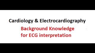 Cardiovascular System and Electrocardiography  12 Leads explanation [upl. by Salb30]