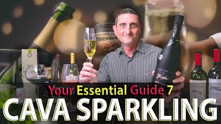 Spanish Cava Sparkling Wine What You Need to Know [upl. by Botsford]