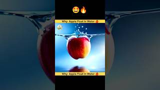 Why Apple Float In water 🍎 Random hindi Facts  Amazing Facts in hindi  facts shorts [upl. by Oirevlis]