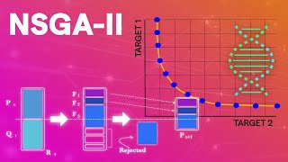 NSGAII Optimization Understand fast how it works complete explanation [upl. by Aehcim33]