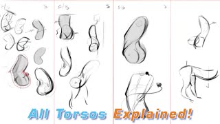 Draw Different Torso Types with FORCE [upl. by Jehius12]