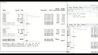 Subgroup Meta Analysis with R [upl. by Yentrok]