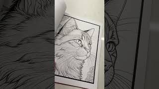 large print adult cat coloring book flip through BampB coloring press flipthrough [upl. by Ahsenauq]