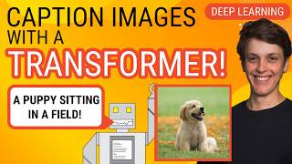 Captioning Images with a Transformer from Scratch PyTorch Deep Learning Tutorial [upl. by Heydon]