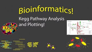 Bioinformatics  KEGG Pathway Visualization in R [upl. by Ronalda755]