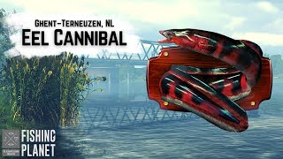 Eel Cannibal Monster  GhentTerneuzen Canal NL  Fishing Planet [upl. by Buxton]