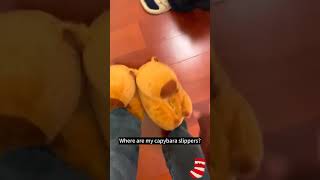 Cute and Warm Capybara Slippers Plush Shoes linkinbio cute capybara slippers [upl. by Blain]