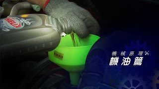 換機油DIY：10萬公里輕鬆省兩萬八，爽到爆表 [upl. by Ecirtram]