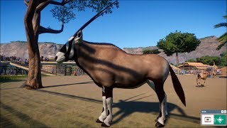 Planet Zoo  Gemsbok Gameplay PC HD 1080p60FPS [upl. by Anaeerb]