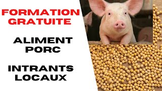 Comment Fabriquer Aliment Porc avec les Intrants Locaux [upl. by Nivat47]