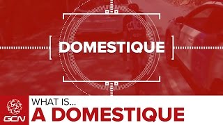 What Is A Domestique  Road Racing Explained [upl. by Nelyag]