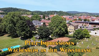 PfalzImpressionen  Wachenheim an der Weinstrasse [upl. by Moor522]