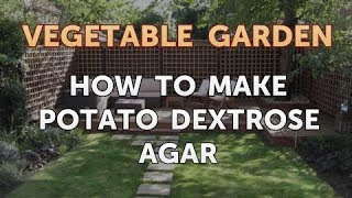 How to Make Potato Dextrose Agar [upl. by Atikahc]