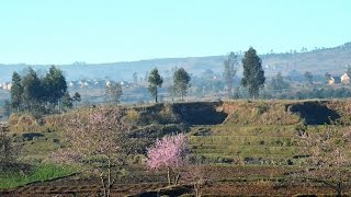 MyWay Madagascar 2014 12 AntsirabeAntananarivoAirport [upl. by Aneleasor]